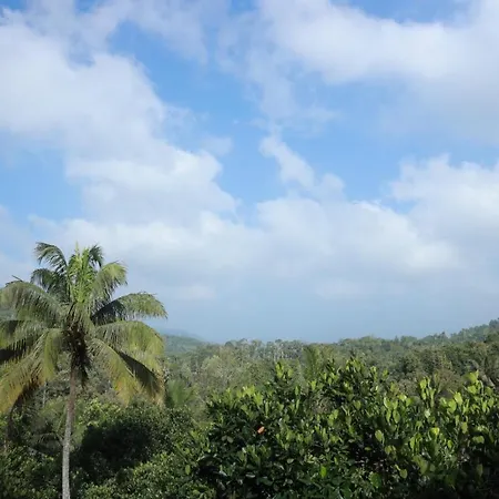 Spicebuds Farmstay - Ramakkalmedu Idukki Exterior photo
