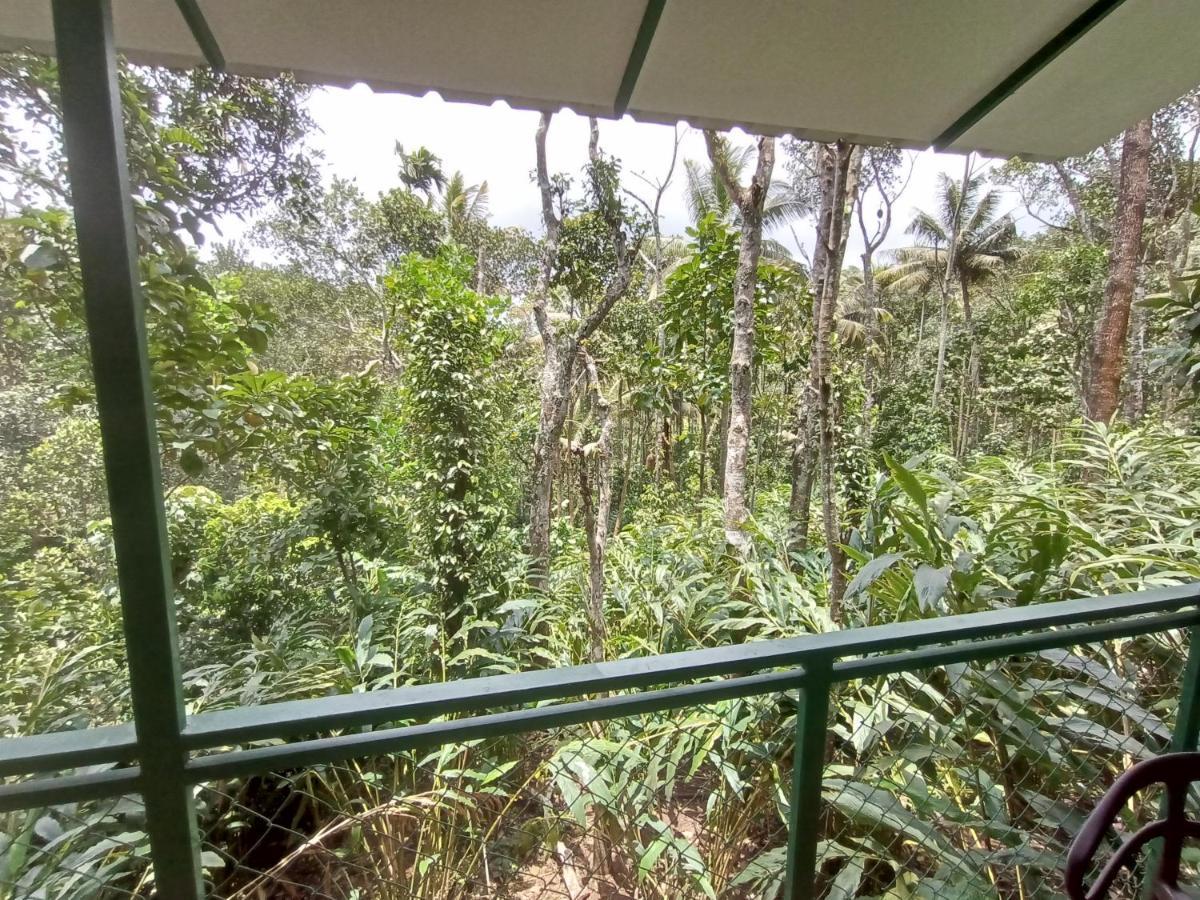 Spicebuds - Ramakkalmedu * Idukki