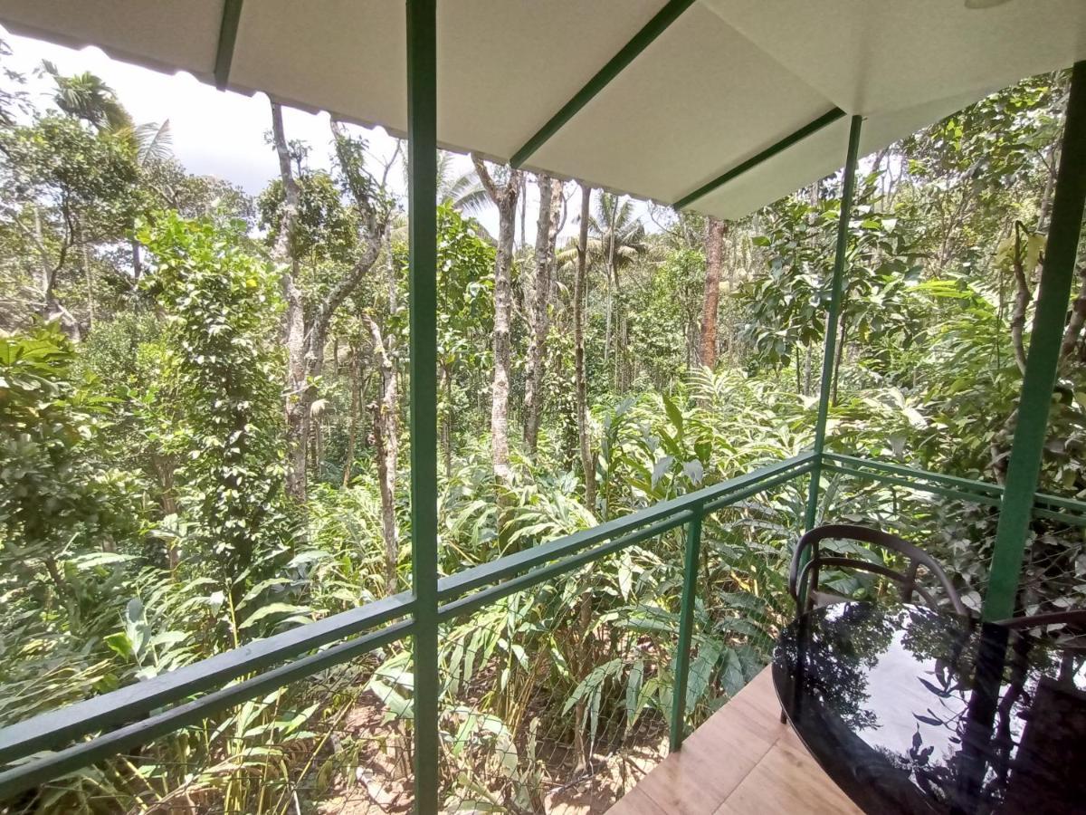 Spicebuds - Ramakkalmedu Idukki