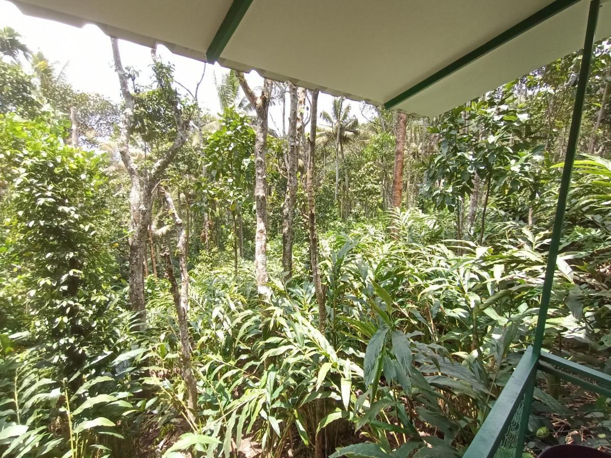 Homestay Spicebuds - Ramakkalmedu Idukki