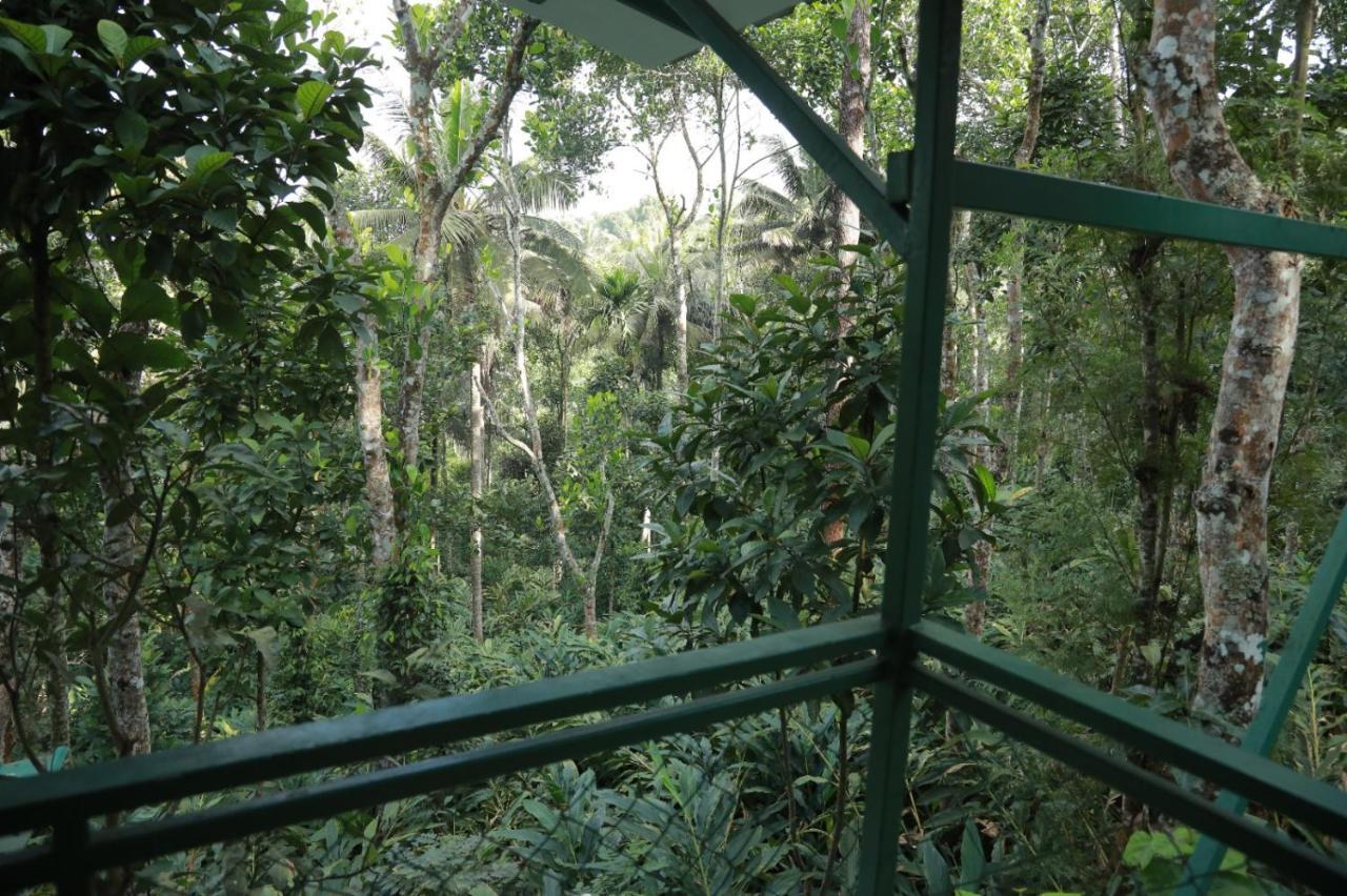 Spicebuds - Ramakkalmedu Homestay
