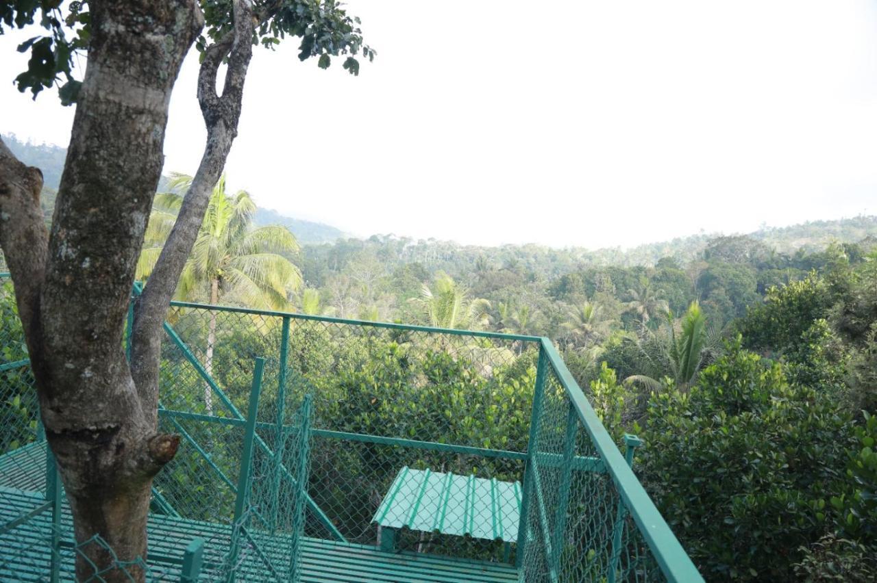 Homestay Spicebuds - Ramakkalmedu Idukki