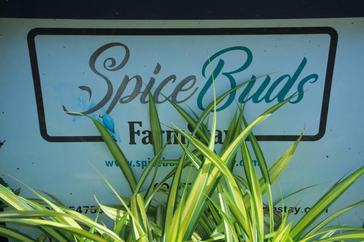 Spicebuds - Ramakkalmedu *