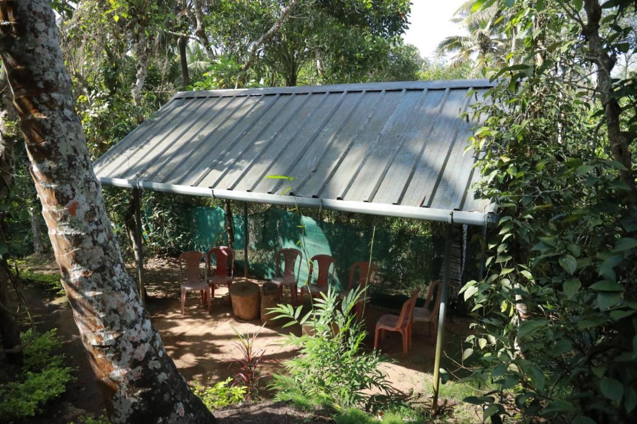 Spicebuds - Ramakkalmedu Homestay *