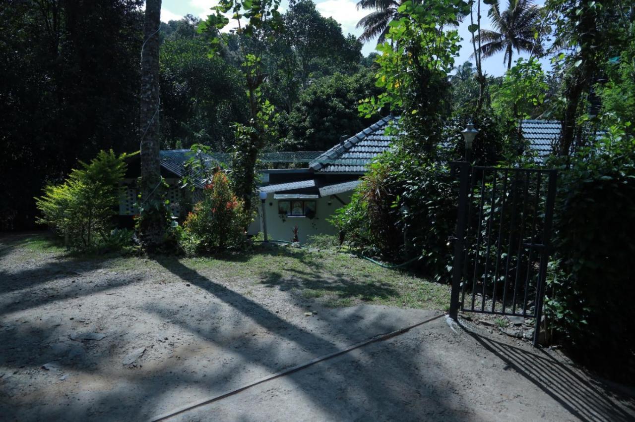 Spicebuds - Ramakkalmedu Homestay Idukki
