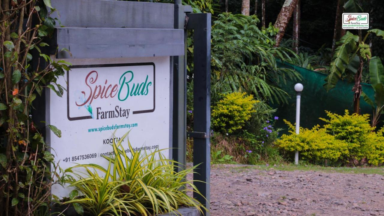 Homestay Spicebuds - Ramakkalmedu *
